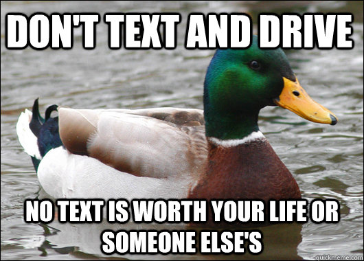 don't text and drive no text is worth your life or someone else's   Actual Advice Mallard