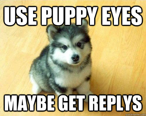 Use puppy eyes maybe get replys   Baby Courage Wolf