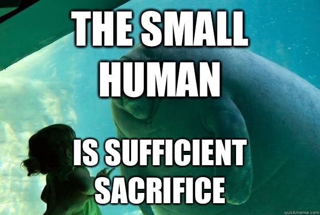 The small human is sufficient sacrifice  Overlord Manatee