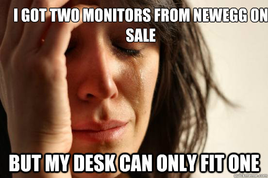 I got two monitors from newegg on sale but my desk can only fit one  First World Problems