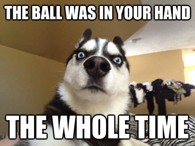 The ball was in your hand the whole time - The ball was in your hand the whole time  Realization Dog