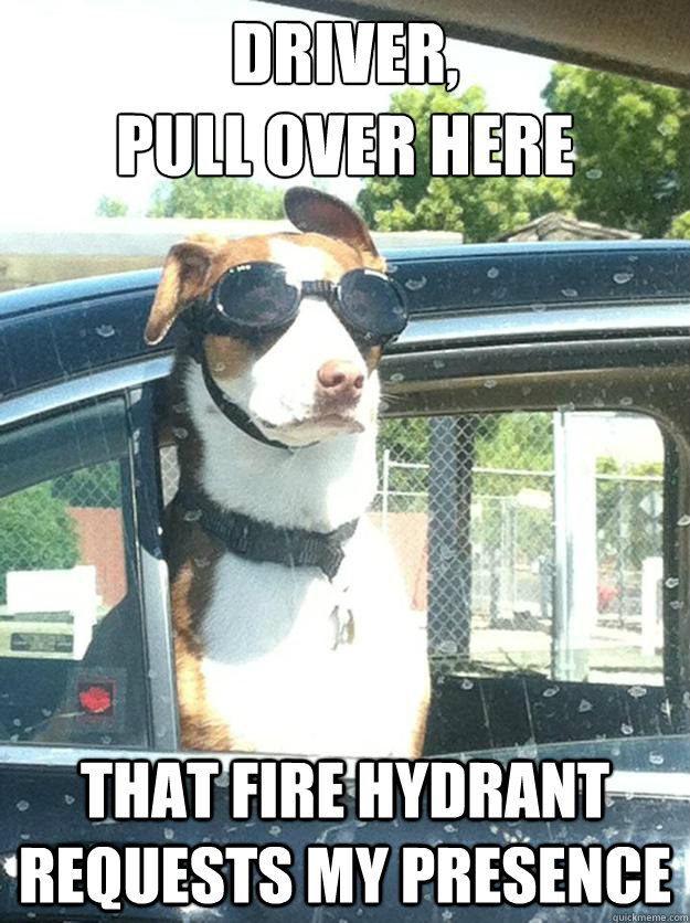 Driver, pull over here I intend to defecate on that shrubbery