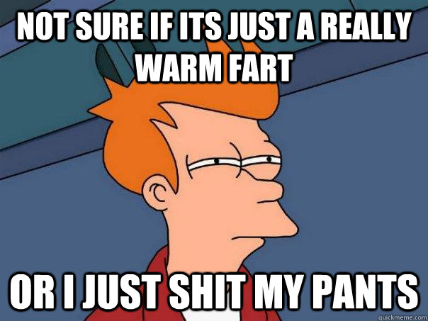 Not sure if its just a really warm fart or I just shit my pants  Futurama Fry