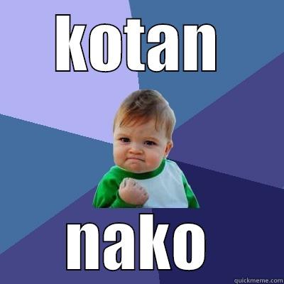 KOTAN NAKO Success Kid