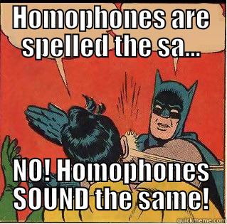 Batman teaching homophones - HOMOPHONES ARE SPELLED THE SA... NO! HOMOPHONES SOUND THE SAME! Slappin Batman