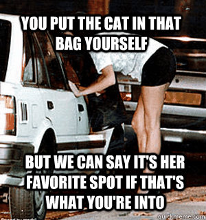 You put the cat in that bag yourself but we can say it's her favorite spot if that's what you're into  Karma Whore
