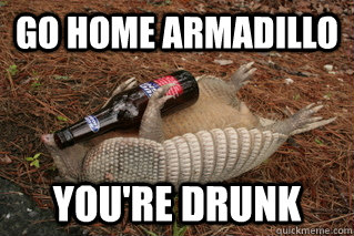 Go Home Armadillo You're Drunk  Drunk Armadillo