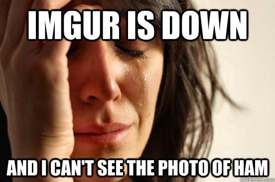 imgur is down  and i can't see the photo of Ham - imgur is down  and i can't see the photo of Ham  First World Problems