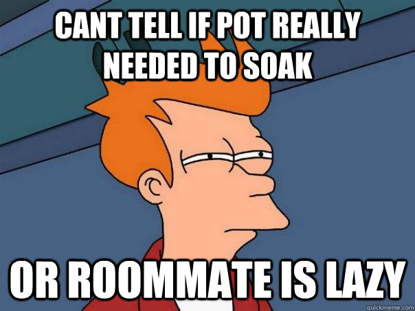 cant tell if pot really needed to soak or roommate is lazy  Futurama Fry