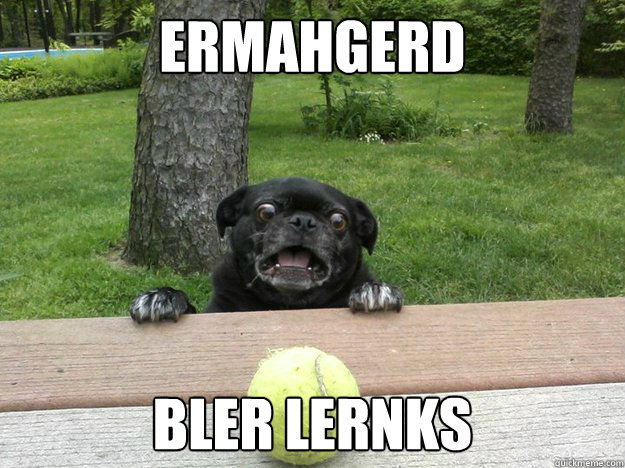 Ermahgerd Bler lernks  Berks Dog