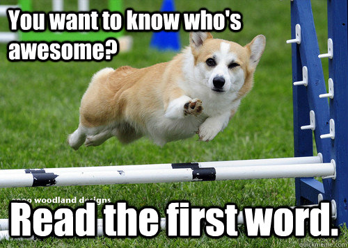 You want to know who's awesome? Read the first word.  Compliment Dog