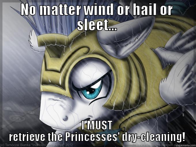 Needlessly Dramatic Royal Guard - NO MATTER WIND OR HAIL OR SLEET... I MUST RETRIEVE THE PRINCESSES' DRY-CLEANING! Misc
