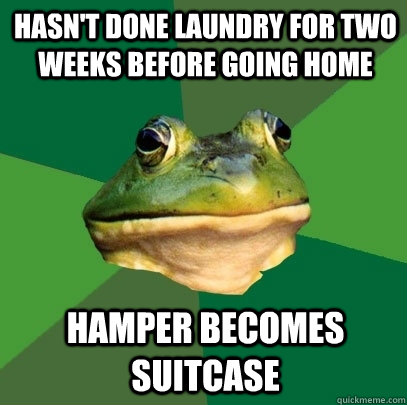 Hasn't done laundry for two weeks before going home Hamper becomes suitcase  Foul Bachelor Frog