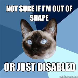 Not sure if I'm out of shape or just disabled - Not sure if I'm out of shape or just disabled  Chronic Illness Cat