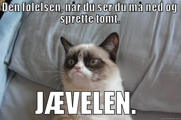 DEN FØLELSEN, NÅR DU SER DU MÅ NED OG SPRETTE TOMT. JÆVELEN.  Grumpy Cat