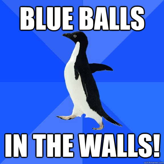 in the walls! Blue balls  Socially Awkward Penguin