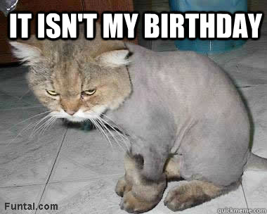     it isn't my birthday -     it isn't my birthday  Misc