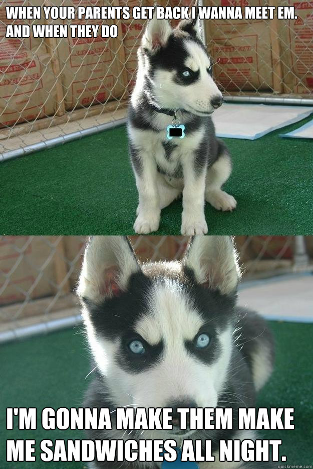 when your parents get back i wanna meet em. and when they do i'm gonna make them make me sandwiches all night.  Insanity puppy
