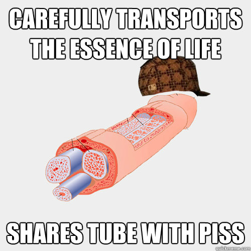 carefully transports the essence of life shares tube with piss  Scumbag Penis