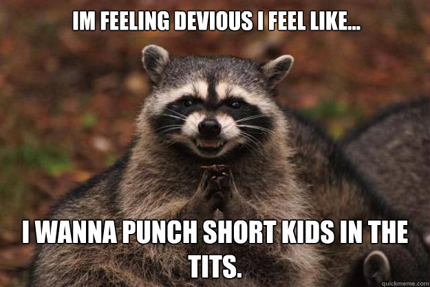 Im Feeling devious i feel like... I wanna punch short kids in the tits.  Evil Plotting Raccoon