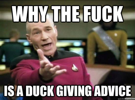 Why the fuck is a duck giving advice  Annoyed Picard HD