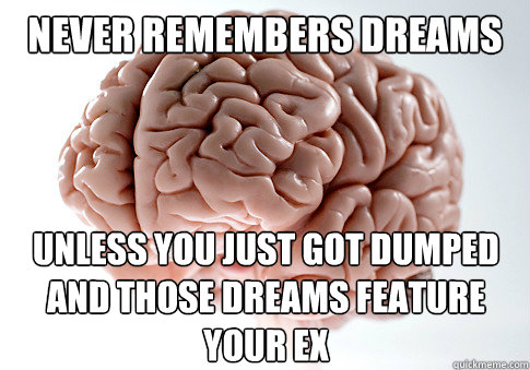 NEVER REMEMBERS DREAMS UNLESS YOU JUST GOT DUMPED
AND THOSE DREAMS FEATURE YOUR EX   Scumbag Brain