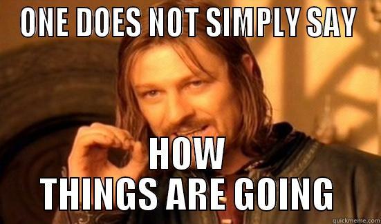 ONE DOES NOT SIMPLY SAY HOW THINGS ARE GOING Boromir