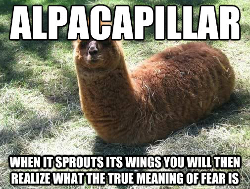 alpacapillar when it sprouts its wings you will then realize what the true meaning of fear is  Alpacapillar
