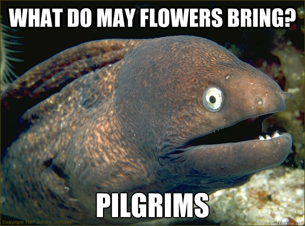 What DO MAY FLOWERS BRING? PILGRIMS   Bad Joke Eel