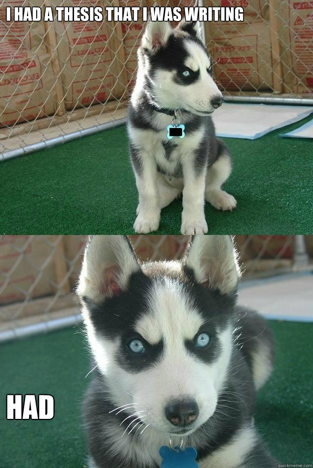 I had a thesis that I was writing HAD  Insanity puppy