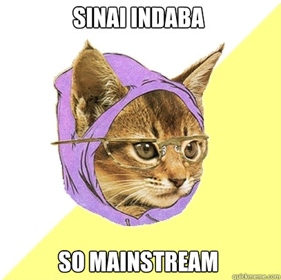 Sinai Indaba So Mainstream  Hipster Kitty