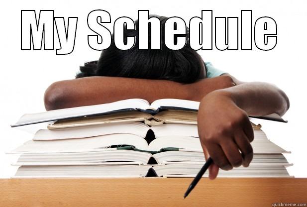 My Schedule - MY SCHEDULE  Misc