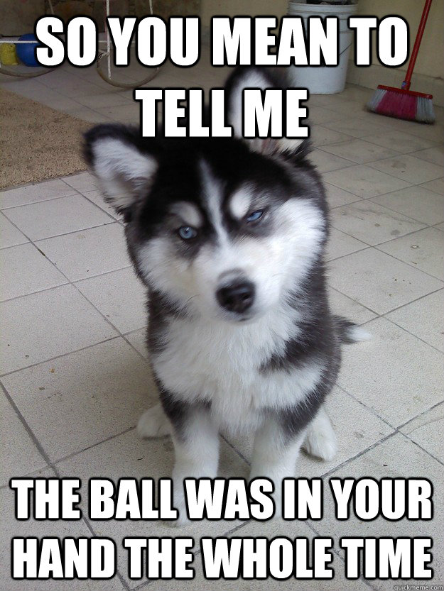 So you mean to tell me the ball was in your hand the whole time  Skeptical Canine