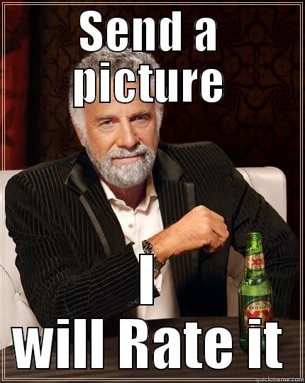 SEND A PICTURE I WILL RATE IT The Most Interesting Man In The World