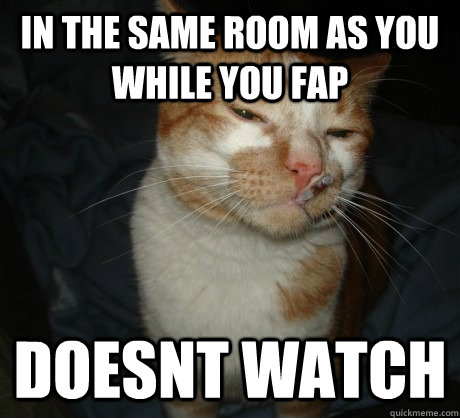 in the same room as you while you fap doesnt watch  Good Cat Greg