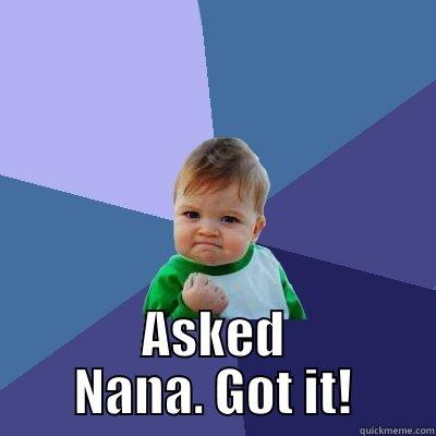  ASKED NANA. GOT IT! Success Kid