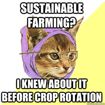 Sustainable farming? i knew about it before crop rotation  Hipster Kitty