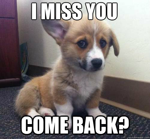 Come back? i miss you - Come back? i miss you  Miss You Corgi