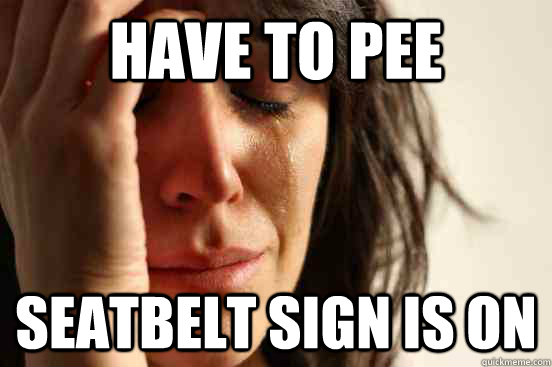 Have to pee Seatbelt sign is on  First World Problems