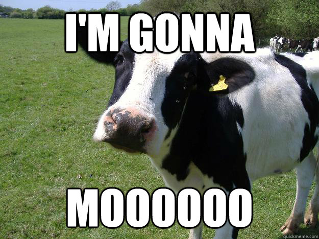 I'm gonna moooooo
  