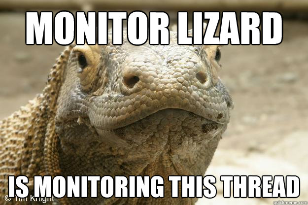 MONITOR LIZARD IS MONITORING THIS THREAD - MONITOR LIZARD IS MONITORING THIS THREAD  Moniter lizard