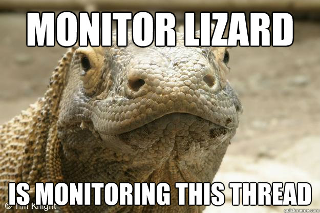 MONITOR LIZARD IS MONITORING THIS THREAD  Moniter lizard