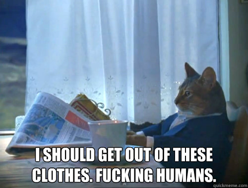  I should get out of these clothes. Fucking humans.  The One Percent Cat