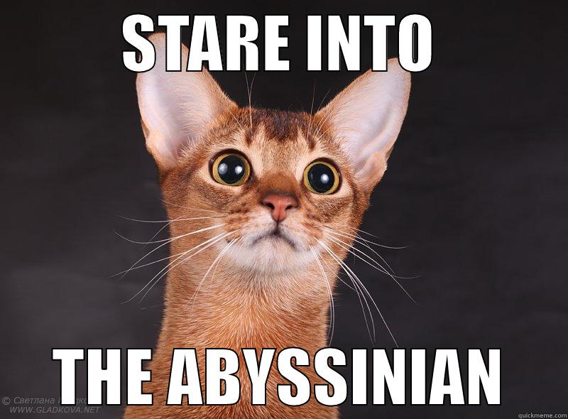 STARE INTO THE ABYSSINIAN Misc