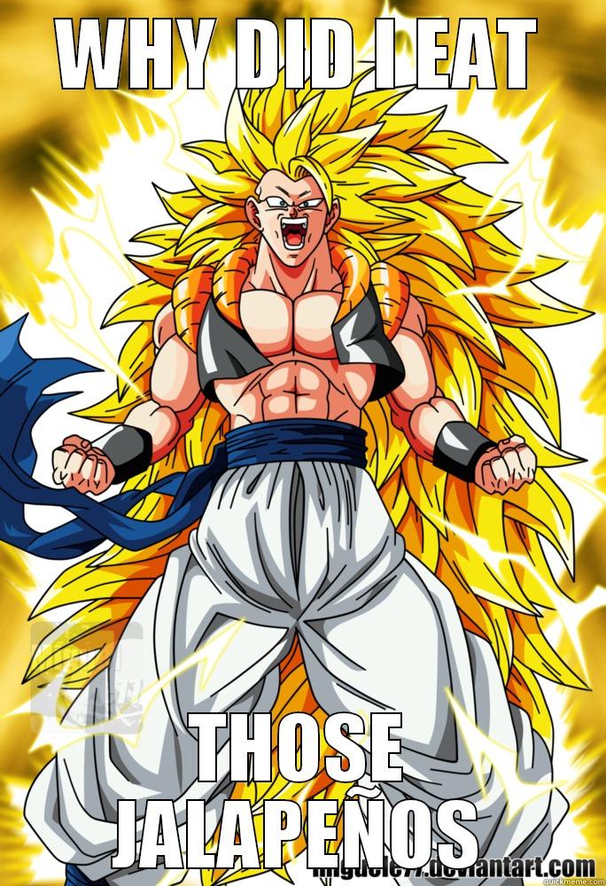 WHY DID I EAT THOSE JALAPEÑOS Misc