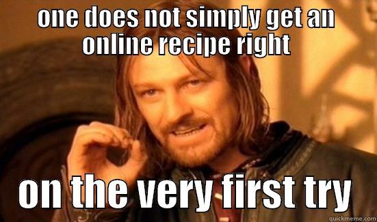 ONE DOES NOT SIMPLY GET AN ONLINE RECIPE RIGHT    ON THE VERY FIRST TRY   Boromir