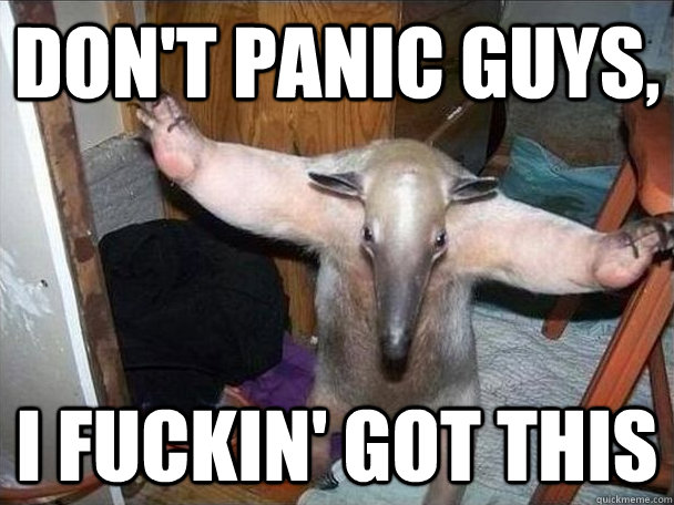 Don't panic guys, i fuckin' got this  I got this