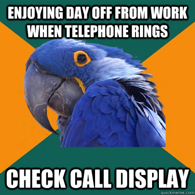 Enjoying day off from work when telephone rings Check call display  Paranoid Parrot