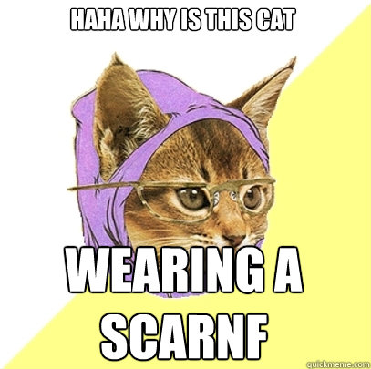 haha why is this cat  wearing a scarnf  Hipster Kitty