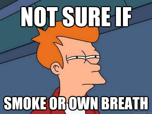 Not sure if  smoke or own breath  Futurama Fry